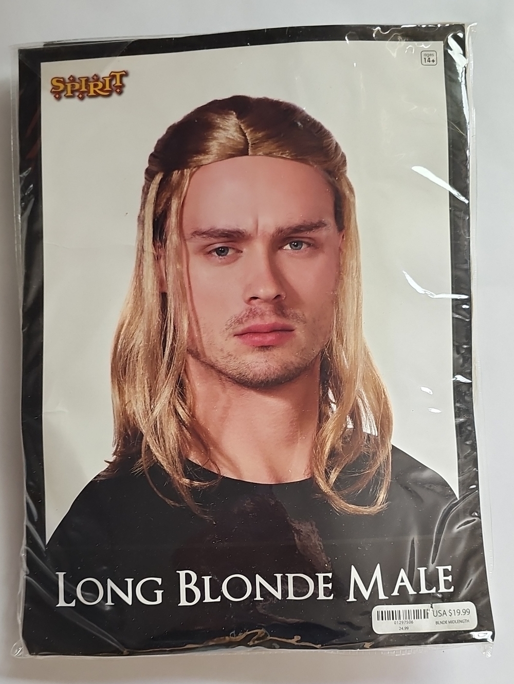 Spirit Long Blonde Male Wig - Blonde
